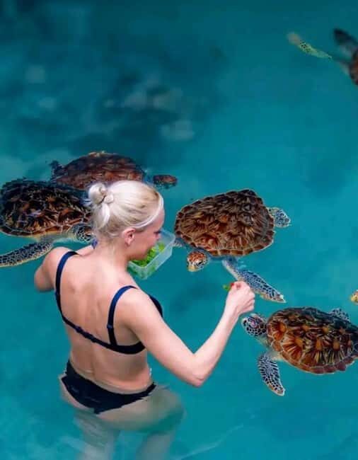 Punguume island,SandBank and Sea turtles Sanctuary with BBQ - Introduction: A Day at Sea in Zanzibars Hidden Corners