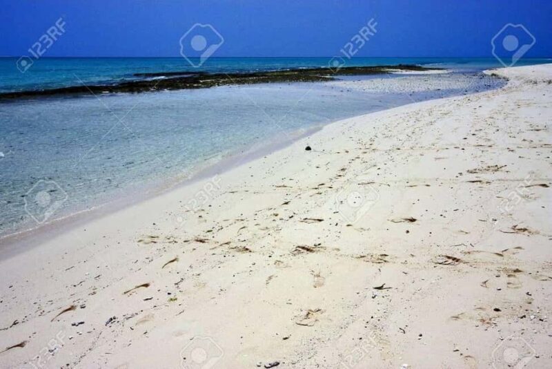 Punguume island,SandBank and Sea turtles Sanctuary with BBQ - Practical Tips for Travelers
