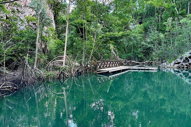 Punta Cana 3in1 Adventure: Los Haitises Park, Waterfall & Montaña - An In-Depth Look at the Tour