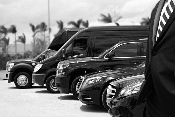 Punta Cana Airport Pick Up - Hotel Transportation Service - Why Choose This Transfer?