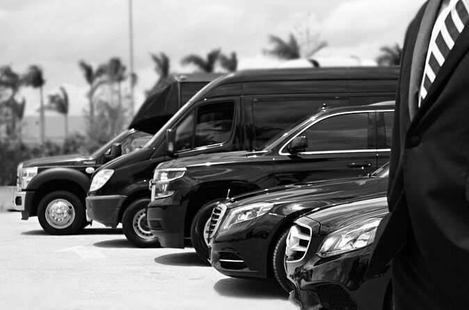 Punta Cana Airport Pick Up - Hotel Transportation Service - Who Should Book This Service?