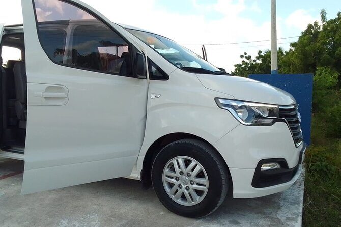 Punta Cana Airport PUJ Private Transfer to Hotels - Who Should Consider This Transfer?