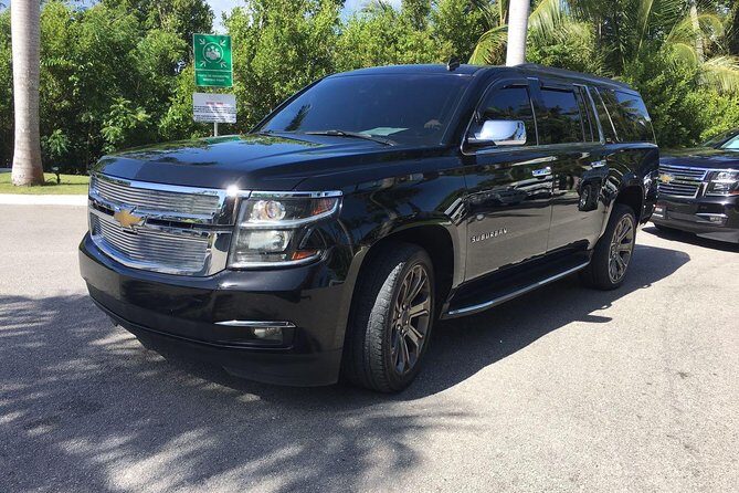Punta Cana Airport to Punta Cana Hotels (up to 35 km) - Meet-and-Greet Service and Ease of Meeting Your Driver