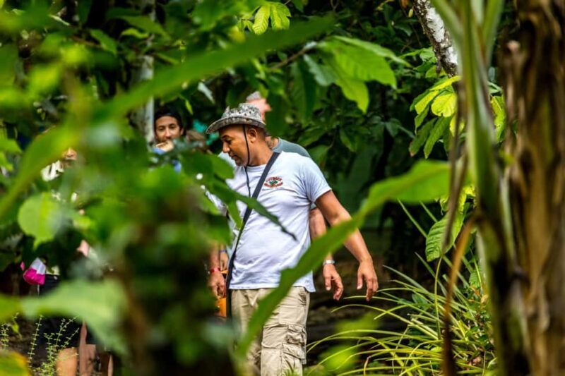 Punta Cana: Anamaya Mountains Walking Tour with Tasting - What to Expect on the Tour