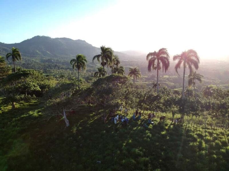 Punta Cana: Anamaya Mountains Walking Tour with Tasting - The Value and Practical Details