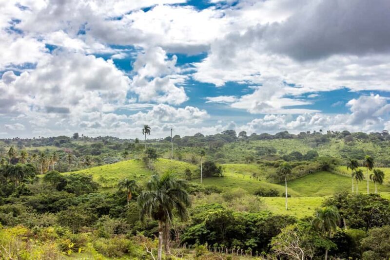 Punta Cana: Anamaya Mountains Walking Tour with Tasting - Final Thoughts
