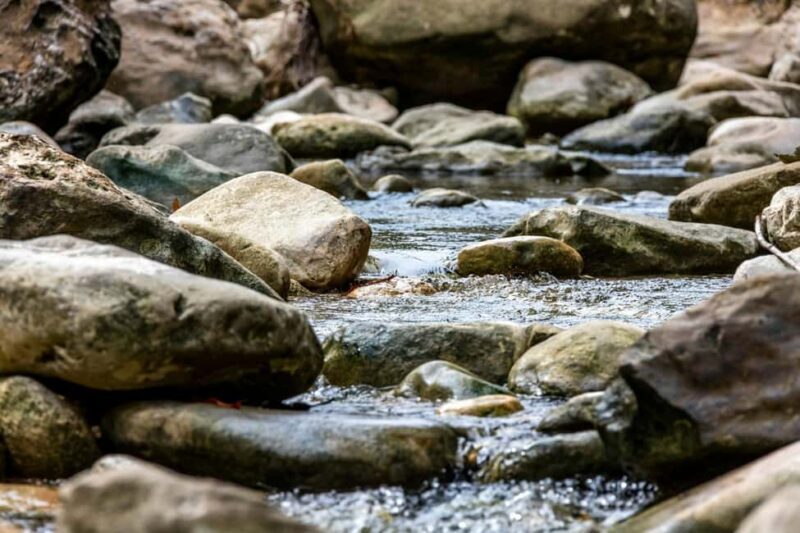 Punta Cana: Anamaya Mountains Walking Tour with Tasting - FAQ