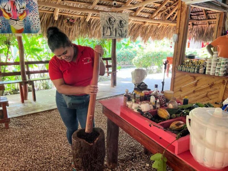 Punta Cana: ATV Tour with Coffee and Chocolate Tasting - Water Cave: The Cenote Los Hoyos de Salado