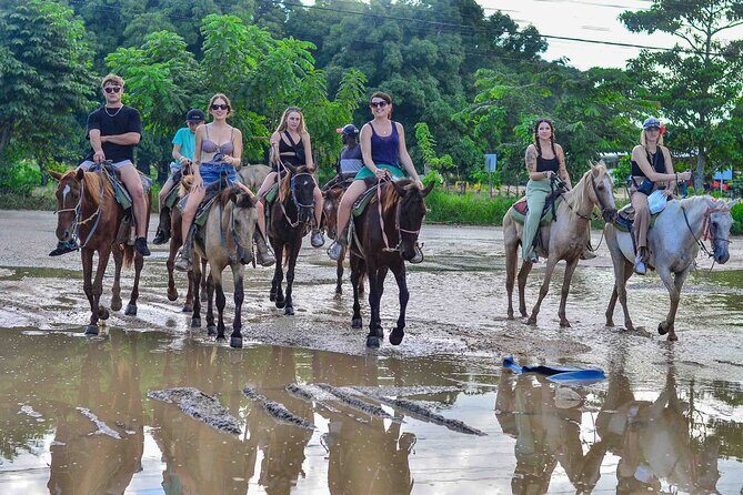 Punta Cana Beach Horseback Ride Paradise Coast Experience - An Overview of the Experience