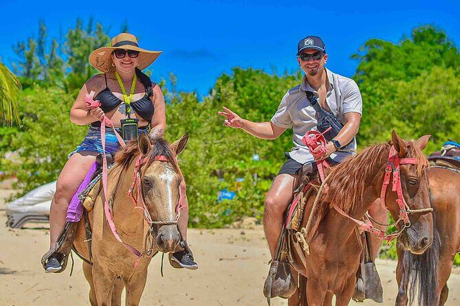Punta Cana Beach Horseback Ride Paradise Coast Experience - The Value of This Tour
