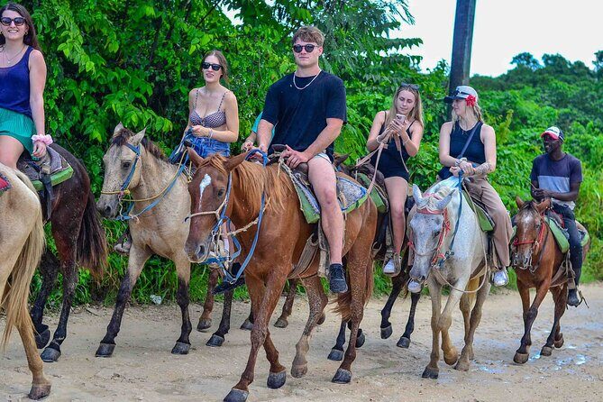 Punta Cana Beach Horseback Ride Paradise Coast Experience - Insights from the Reviews