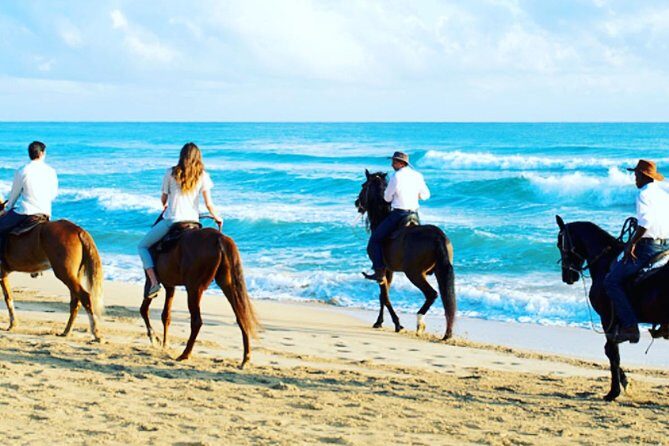 Punta Cana Beach Horseback Riding - Analyzing the Value