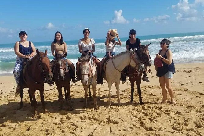 Punta Cana Beach Horseback Riding - Who Will Love This Tour?