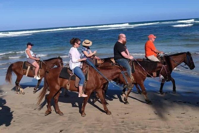 Punta Cana Beach Horseback Riding - FAQs