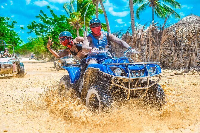 Punta cana Boogie into the Jungle with Coffee and Chocolate Taste - In The Sum Up