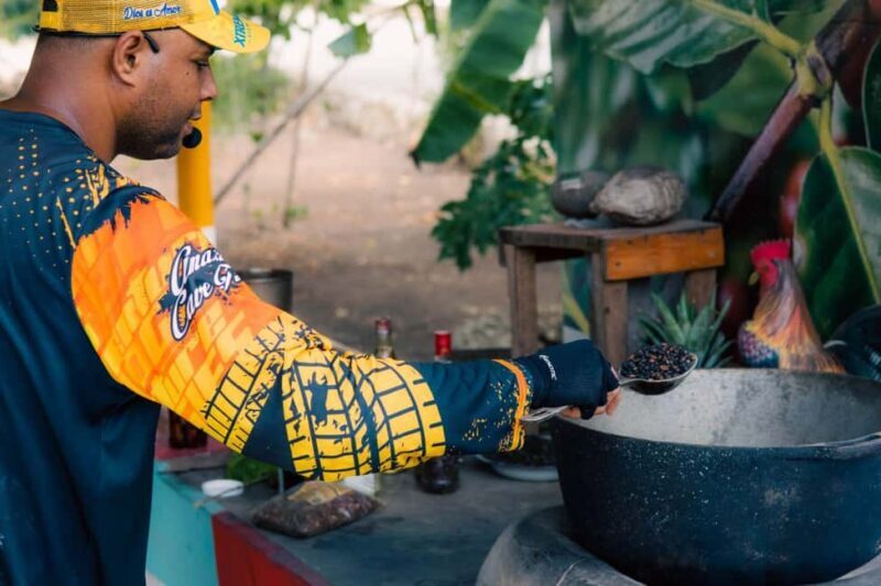 Punta Cana: Buggy Ride, Dinner and Taino Party - Practical Details and Considerations