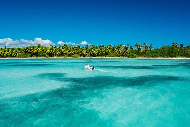 Punta Cana Catalina Island Catamaran Tour Package Deal - Key Points