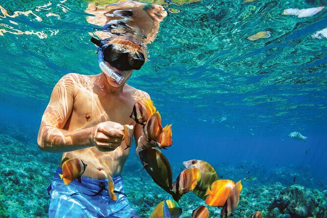 Punta Cana Catalina Island Catamaran Tour Package Deal - Authentic Insights from Reviewers