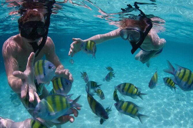 Punta Cana Catalina Island Catamaran Tour Package Deal - Final Thoughts: Is It Worth It?