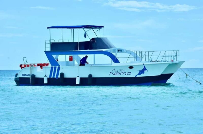 Punta Cana: Catalina Island Day Trip with Snorkeling - Transportation and Group Size