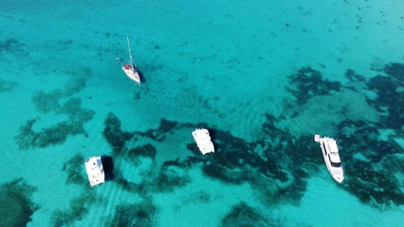 Punta Cana: Catalina Island Snorkeling and lunch Day Trip - Key Points