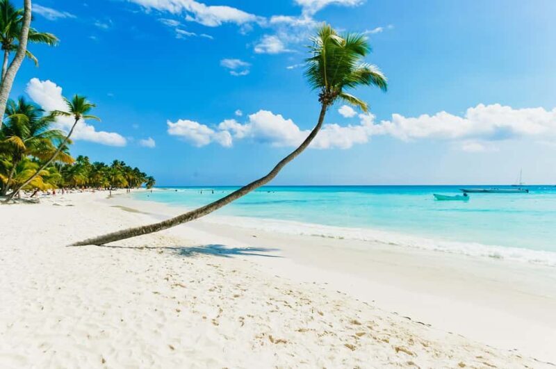 Punta Cana: Catamaran Boat to Saona Island with Buffet Lunch - FAQ