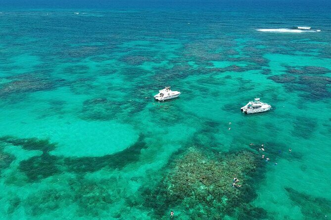 Punta Cana: Catamaran Tour, Reef Snorkeling and Unlimited Drinks! - Punta Cana: Catamaran Tour, Reef Snorkeling, and Unlimited Drinks!