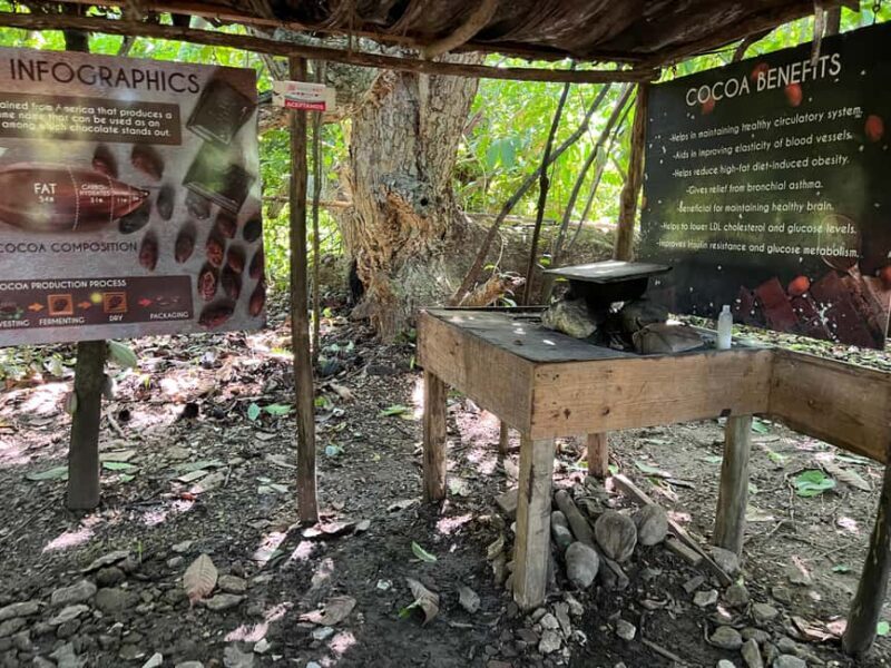 Punta Cana: Coffee Plantation, Chocolate, and Sugar Cane - Who Should Consider This Tour?