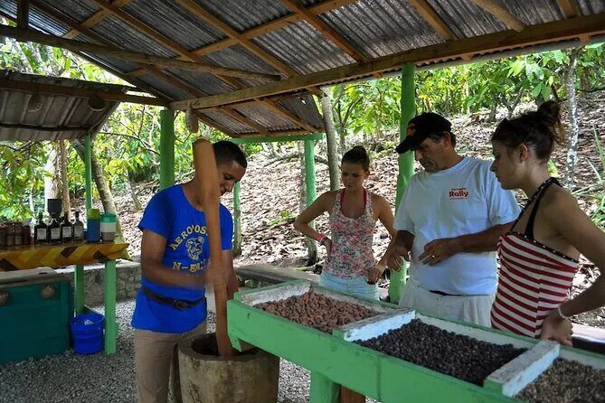 Punta Cana: Cultural half-day tours in the Dominican Republic - A Deep Dive into the Tour Experience