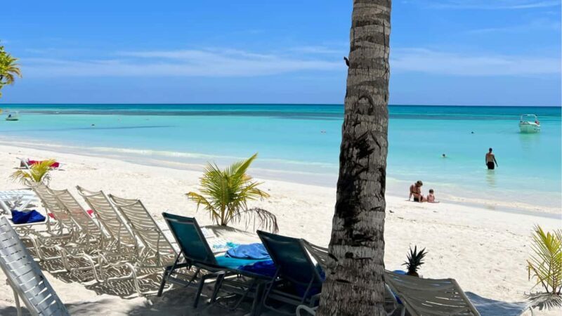 Punta Cana: Dive the Coral Paradise of Catalina Island - Introduction to the Tour Experience