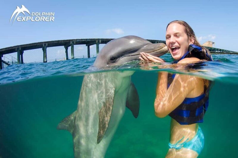 Punta Cana Dolphin Adventure: 40-Minute Interaction - A Closer Look at the Experience
