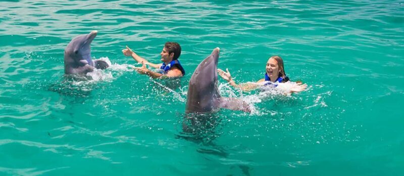 Punta Cana Dolphin Adventure: 40-Minute Interaction - Practical Tips for Visitors