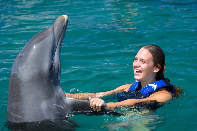 Punta Cana: Dolphin Explorer Swims and Interactions - What Travelers Say