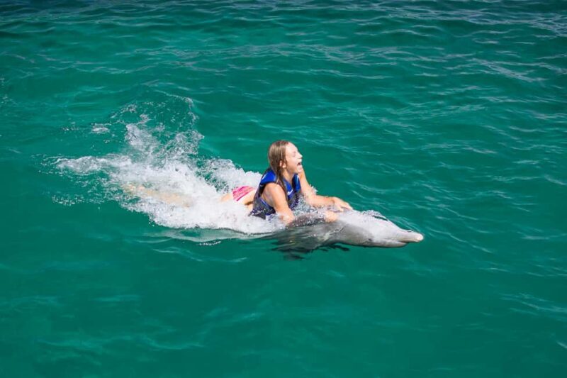 Punta Cana: Dolphin Explorer Swims and Interactions - Who Will Love This Tour?