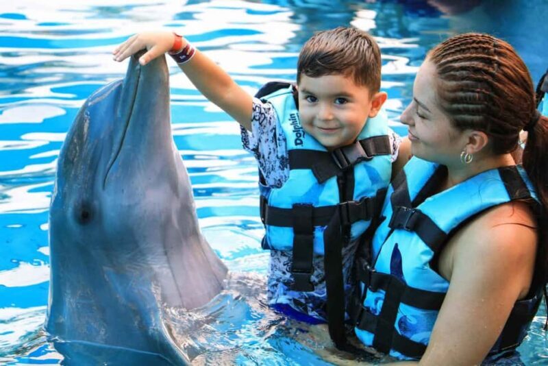 Punta Cana: Dolphin Interaction Experience & Hotel Transfers - What to Expect from the Dolphin Experience