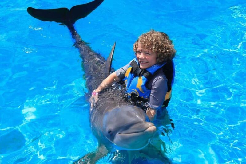 Punta Cana: Dolphin Interaction Experience & Hotel Transfers - Practical Details and Tips