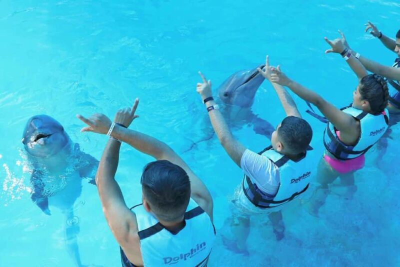 Punta Cana: Dolphin Interaction Experience & Hotel Transfers - Who Is This Tour Best For?