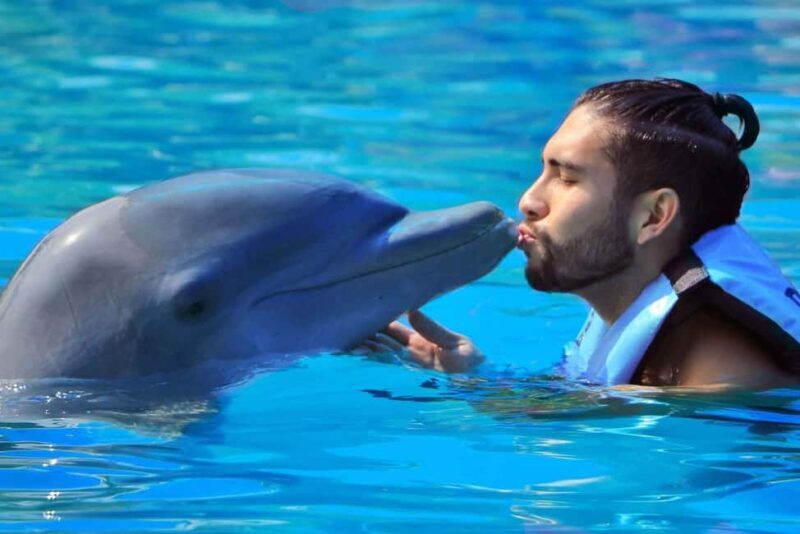 Punta Cana: Dolphin Interaction Experience & Hotel Transfers - FAQs