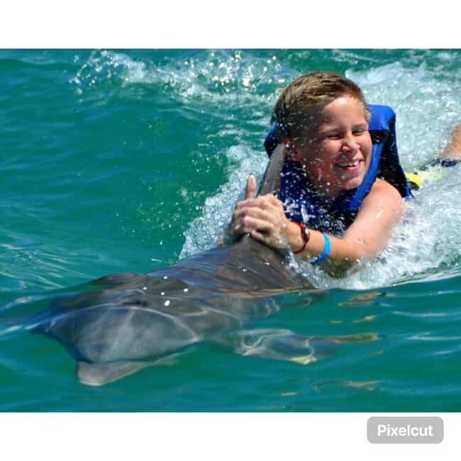 Punta Cana: Dolphin Park Entry and Swim with Dolphins - Key Points