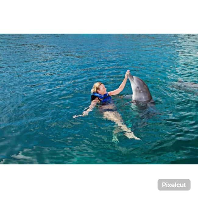 Punta Cana: Dolphin Park Entry and Swim with Dolphins - What Travelers Love