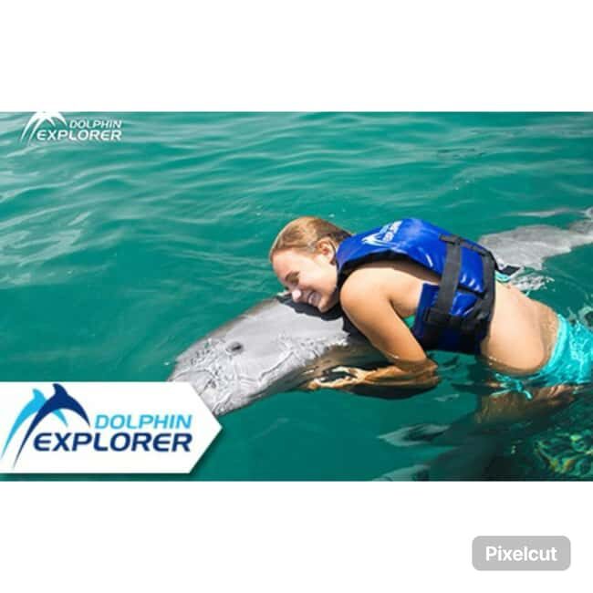 Punta Cana: Dolphin Park Entry and Swim with Dolphins - Practical Details and Tips