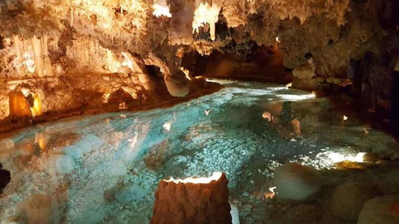Punta Cana: Dominican Flavors Guided Day Trip - The Sum Up