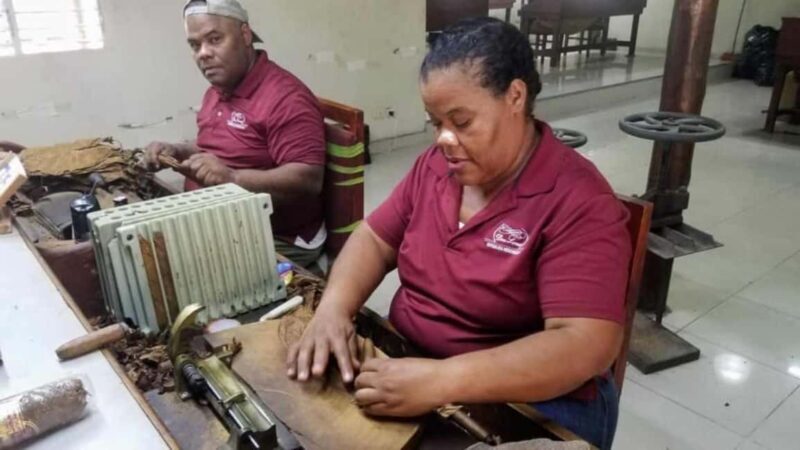 Punta Cana: Don Lucas Cigar, Chocolate, & Rum Tour - What the Tour Entails: A Deep Dive
