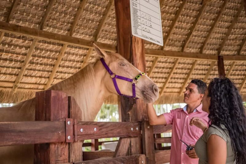 Punta Cana: Eco Park Safari Adventure - Final Thoughts: Is It Worth It?