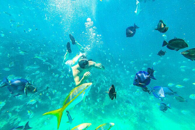 Punta Cana Exclusive Adults-Only Snorkel with Food and Drinks - Key Points