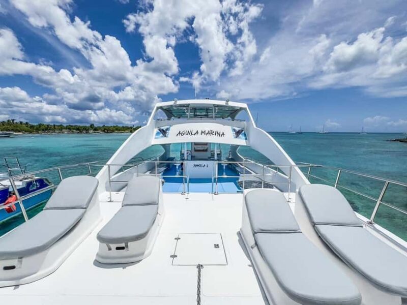 Punta Cana: Exclusive Private Catamaran Tour to Saona Island VIP Service - The Allure of Saona Island