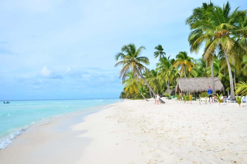 Punta Cana: Exclusive Private Catamaran Tour to Saona Island VIP Service - The Return Journey and Sunset Views