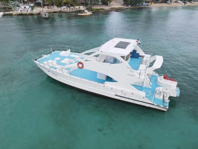 Punta Cana: Exclusive Private Catamaran Tour to Saona Island VIP Service - The Value of VIP Service and Private Booking