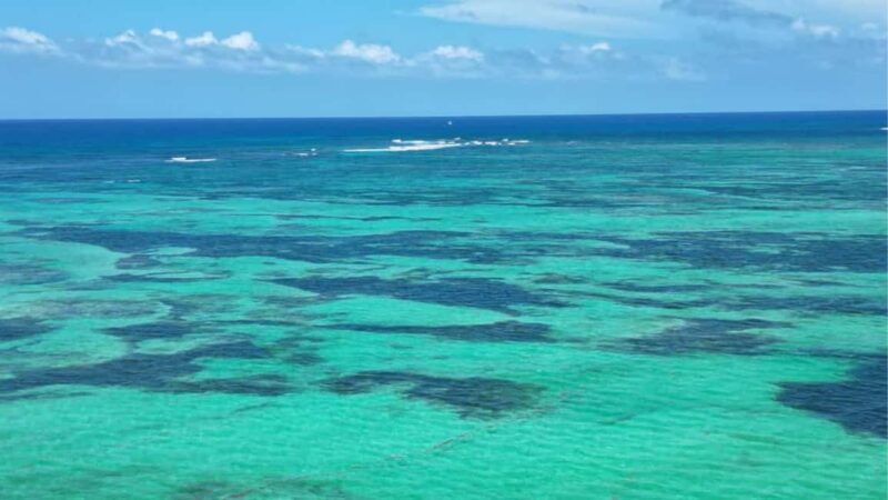 Punta Cana: Exclusive Private Catamaran Tour to Saona Island VIP Service - FAQ