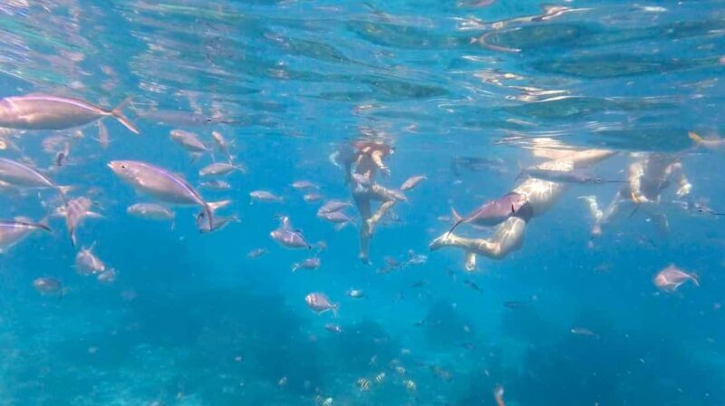 Punta Cana: Full-Day Snorkeling Tour to Catalina Island - Key Points